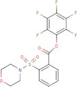 Pentafluorophenyl 2-(morpholin-4-ylsulphonyl)benzoate