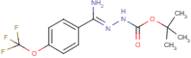 N'-[1-Amino-1-(4-(trifluoromethoxy)phenyl)methylidene]hydrazinecarboxylic acid tert-butyl ester