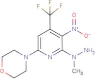 N-Methyl-N-(6-morpholin-4'-yl-3-nitro-4-(trifluoromethyl)pyridin-2-yl)hydrazine