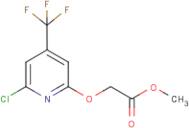 (6-Chloro-4-trifluoromethyl-pyridin-2-yloxy)-acetic acid methyl ester