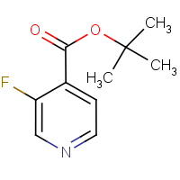 3-Fluoroisonicotinic acid tert-butyl ester