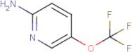 5-(Trifluoromethoxy)pyridin-2-amine