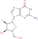2'-Fluoro-2'-deoxyguanosine