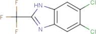5,6-Dichloro-2-(trifluoromethyl)-1H-benzimidazole