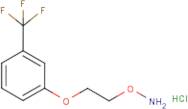 O-{2-[3-(Trifluoromethyl)phenoxy]ethyl}hydroxylamine hydrochloride