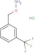 O-[3-(Trifluoromethyl)benzyl]hydroxylamine hydrochloride