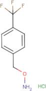 O-[4-(Trifluoromethyl)benzyl]hydroxylamine hydrochloride