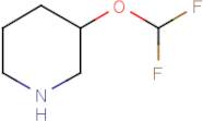 3-(Difluoromethoxy)piperidine