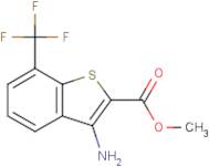 Methyl 3-amino-7-(trifluoromethyl)-1-benzothiophene-2-carboxylate