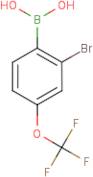 2-Bromo-4-(trifluoromethoxy)benzeneboronic acid