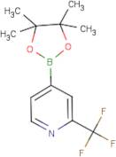 2-(Trifluoromethyl)pyridine-4-boronic acid, pinacol ester