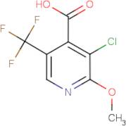 3-Chloro-2-methoxy-5-(trifluoromethyl)isonicotinic acid