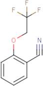 2-(2,2,2-Trifluoroethoxy)benzonitrile