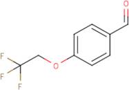 4-(2,2,2-Trifluoroethoxy)benzaldehyde