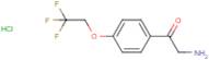 4-(2,2,2-Trifluoroethoxy)phenacylamine hydrochloride