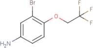 3-Bromo-4-(2,2,2-trifluoroethoxy)aniline