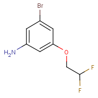 3-Bromo-5-(2,2-difluoroethoxy)aniline