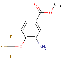 Methyl 3-amino-4-(trifluoromethoxy)benzoate