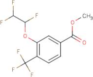 Methyl 3-(2,2-trifluoroethoxy)-4-(trifluoromethyl)benzoate