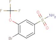 4-Bromo-3-(trifluoromethoxy)benzenesulphonamide