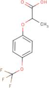 DL-2-[4-(Trifluoromethoxy)phenoxy]propionic acid