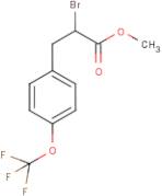 Methyl 2-bromo-3-[4-(trifluoromethoxy)phenyl]propionate