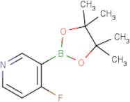 4-Fluoropyridine-3-boronic acid pinacol ester