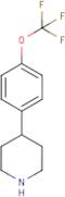 4-[4-(Trifluoromethoxy)phenyl]piperidine