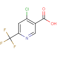 4-Chloro-6-(trifluoromethyl)nicotinic acid