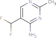 5-(Difluoromethyl)-2-methyl-pyrimidin-4-amine