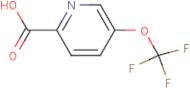 5-(Trifluoromethoxy)pyridine-2-carboxylic acid