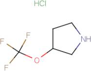 3-(Trifluoromethoxy)pyrrolidine hydrochloride