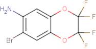 6-Amino-7-bromo-2,2,3,3-tetrafluoro-1,4-benzodioxane