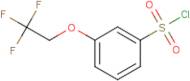 3-(2,2,2-Trifluoroethoxy)benzenesulfonyl chloride