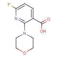 6-Fluoro-2-morpholinonicotinic acid