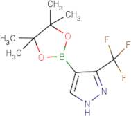 3-(Trifluoromethyl)-1H-pyrazole-4-boronic acid, pinacol ester