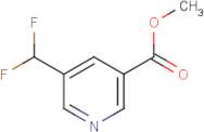 Methyl 5-(difluoromethyl)nicotinate