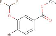 Methyl 4-bromo-3-(difluoromethoxy)benzoate