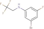 3-Bromo-5-fluoro-N-(2,2,2-trifluoroethyl)aniline