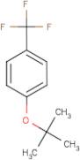 4-(tert-Butoxy)benzotrifluoride