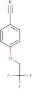 4-(2,2,2-Trifluoroethoxy)benzonitrile