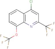 4-Chloro-8-(trifluoromethoxy)-2-(trifluoromethyl)quinoline