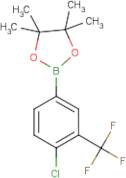 4-Chloro-3-(trifluoromethyl)benzeneboronic acid, pinacol ester