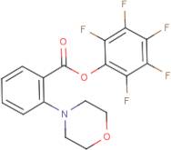 Pentafluorophenyl 2-morpholin-4-ylbenzoate