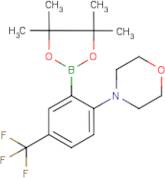 2-Morpholin-4-yl-5-(trifluoromethyl)benzeneboronic acid, pinacol ester