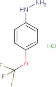 4-(Trifluoromethoxy)phenylhydrazine hydrochloride