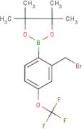 2-(Bromomethyl)-4-(trifluoromethoxy)benzeneboronic acid, pinacol ester
