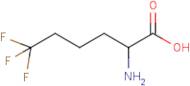 6,6,6-Trifluoro-DL-norleucine