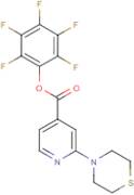 Pentafluorophenyl 2-thiomorpholin-4-ylisonicotinate