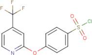 4-{[4-(Trifluoromethyl)pyridin-2-yl]oxy}benzenesulphonyl chloride